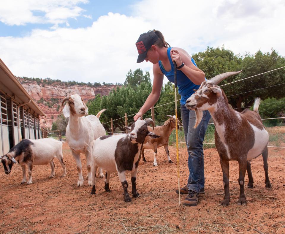 Smiling person petting goats outside at Best Friends Animal Sanctuary